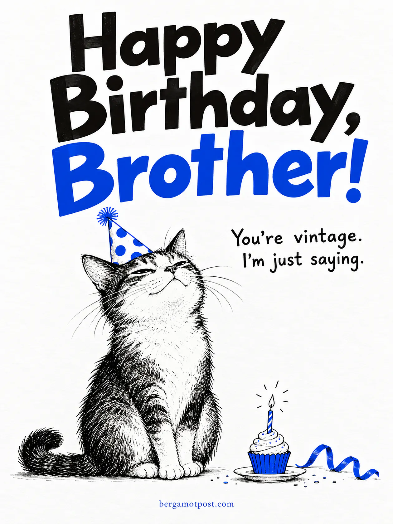 You’re Vintage, Brother: Funny Happy Birthday Image with a Smug Cat