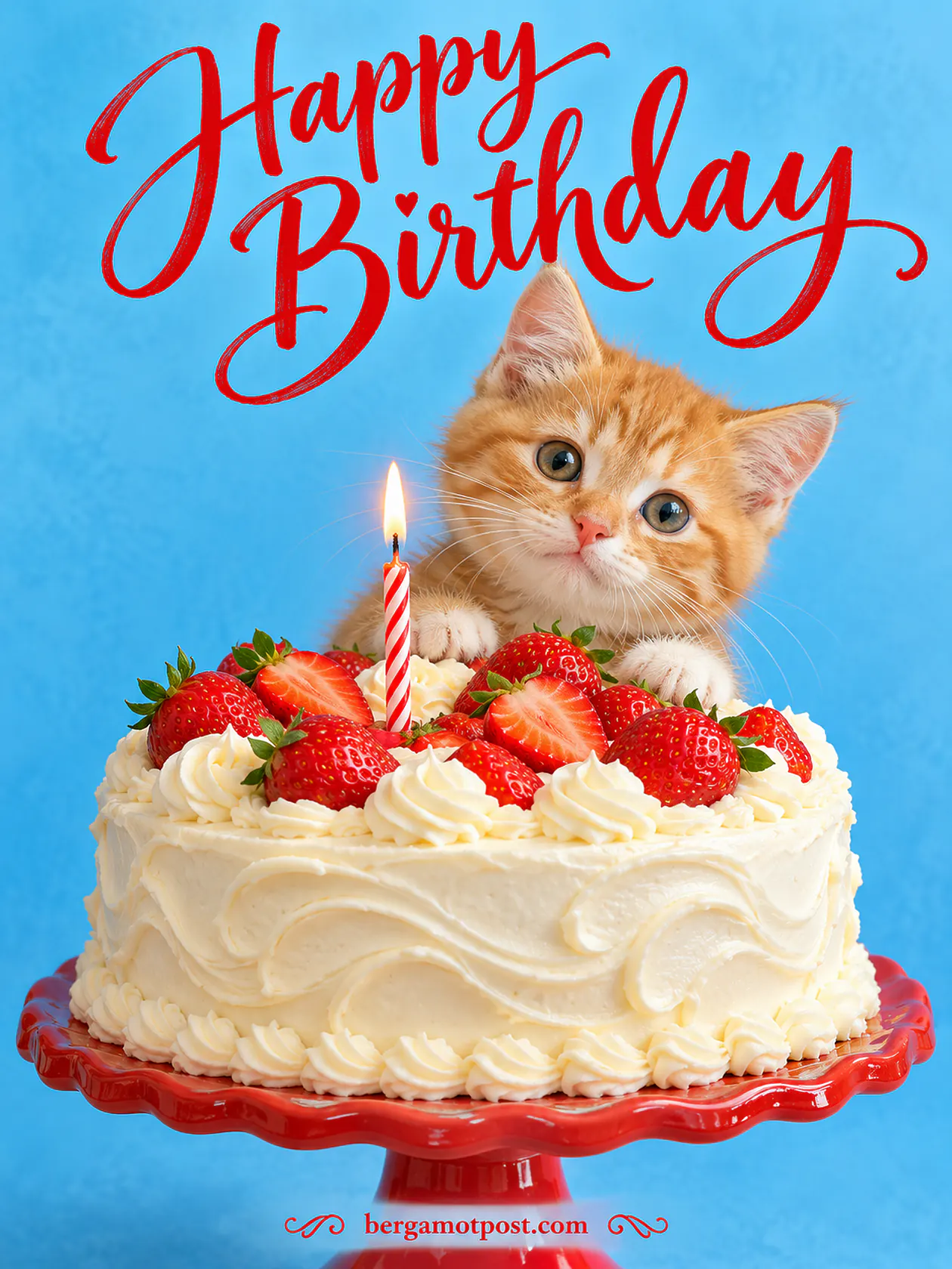 Happy Birthday Image with a Ginger Kitten and a Strawberry Cake